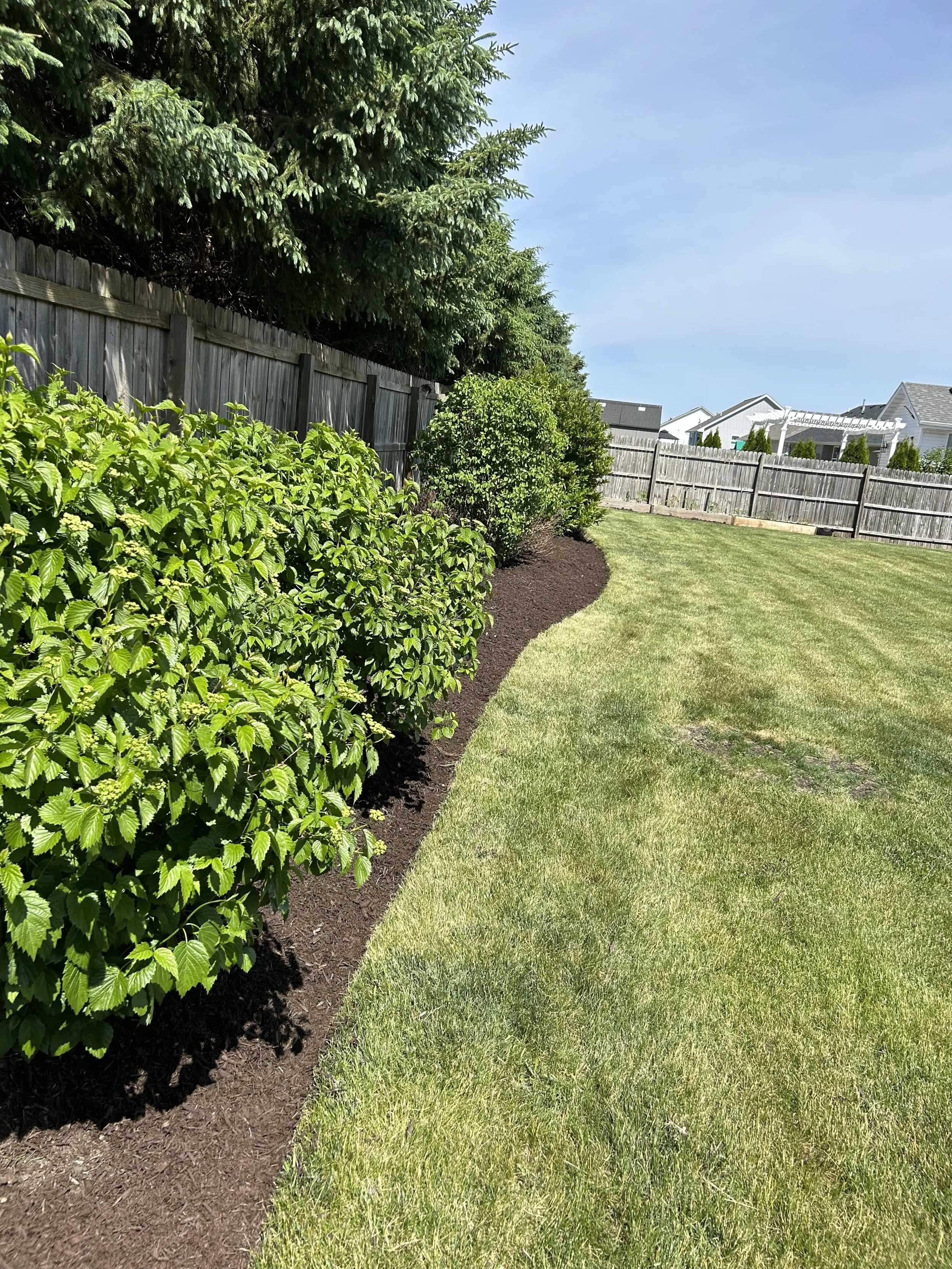 A backyard with well-maintained green lawn, a row of trimmed bushes, and a wooden fence under a partly cloudy sky.