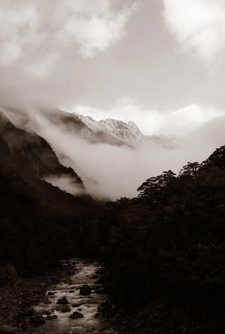 033FBEE9-585D-4BC8-A737-7F4AA15C2649_1_105_c.jpeg