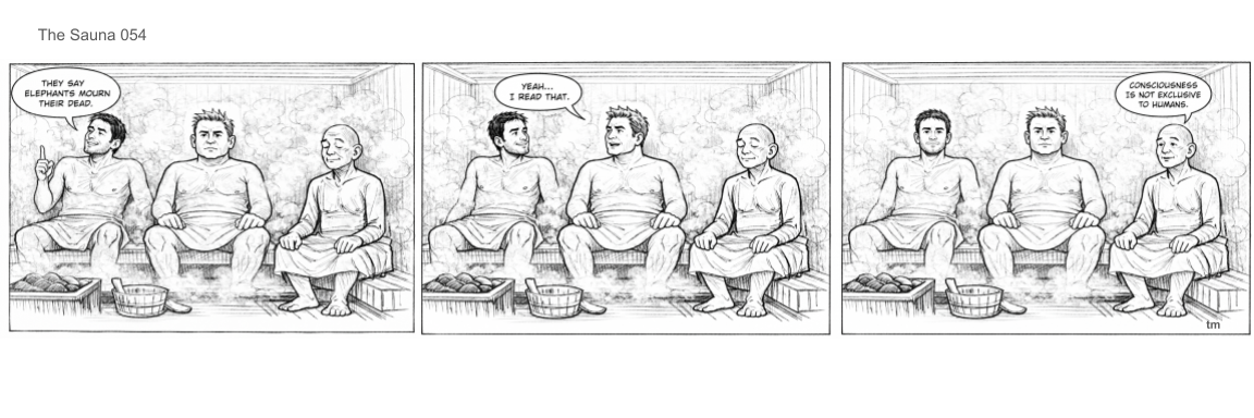 Three men sitting in a sauna, engaged in conversation. The man on the left is speaking, the middle man is listening, and the man on the right is smiling. Steam surrounds them, and there are benches and a bucket in the sauna.