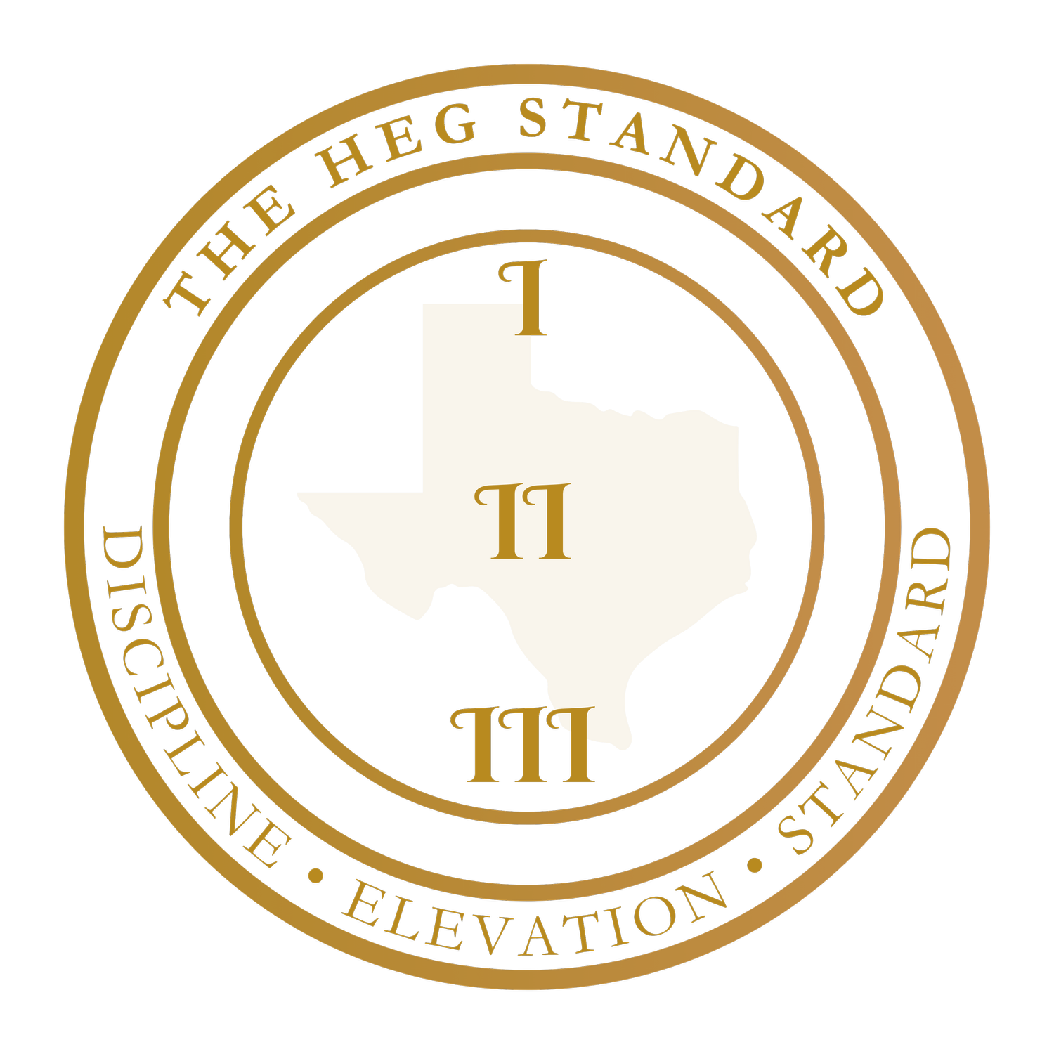 The HEG Standard | 90-Day Discipline System for Men