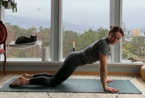 YOGA WORKSHOP MED SIGNE SCHINELLER