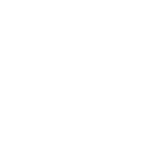 Microphone icon representing speaking engagements, operational leadership discussions, podcasts, panels, and industry conversations.
