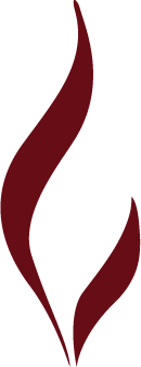 ProShare Services flame logo representing operational leadership, engineering support, industrial execution, and energy infrastructure services.
