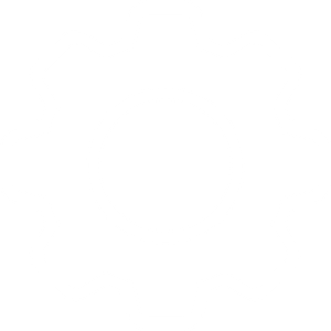 Gear icon representing engineering support, field operations, project coordination, and industrial execution services.