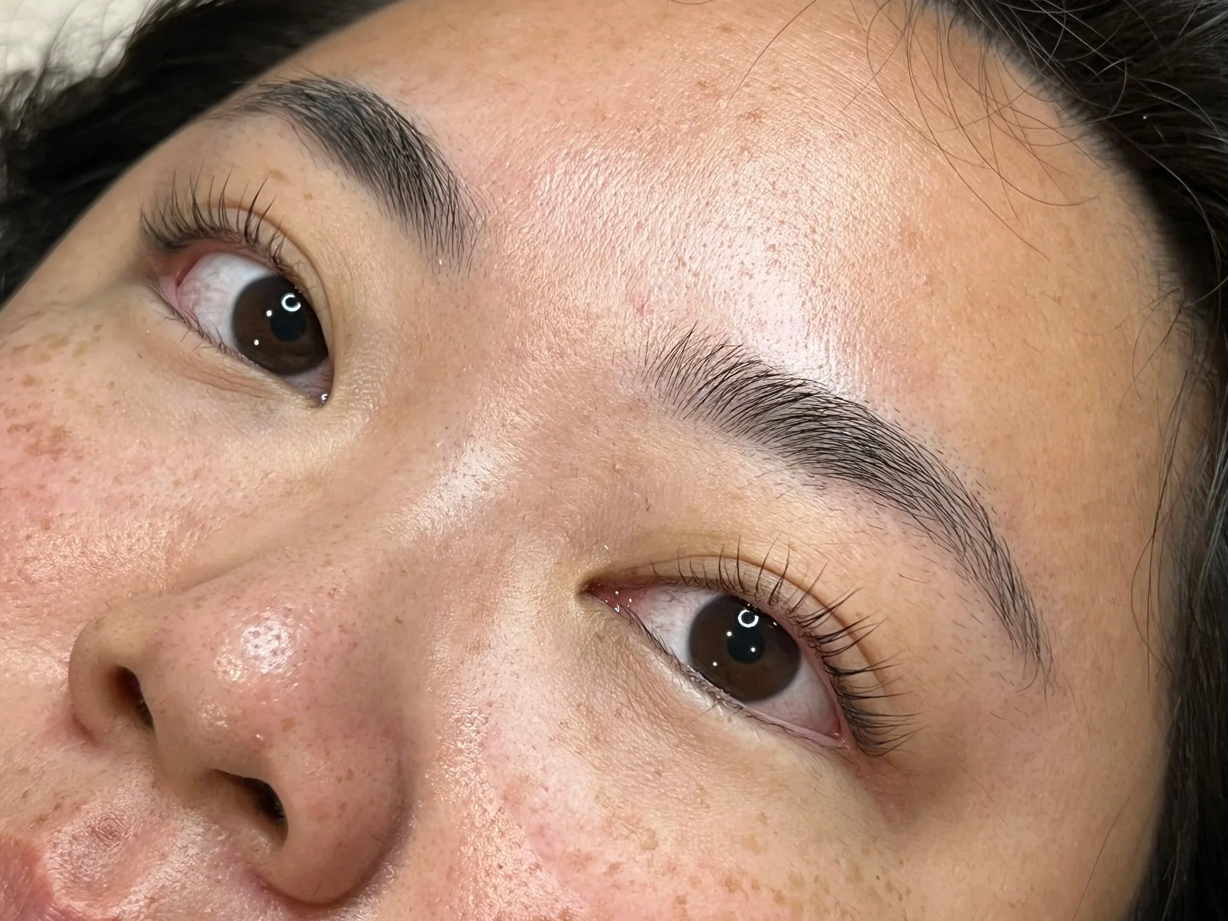 el monte korean lash lift and tint