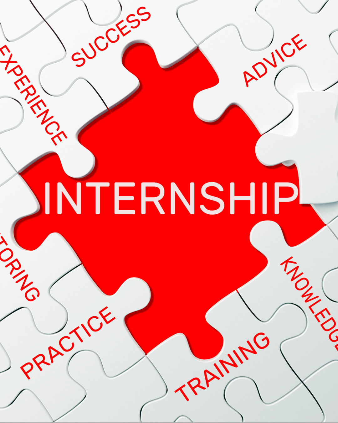A puzzle with a red piece labeled "INTERNSHIP" fitting into a white puzzle with words like "SUCCESS," "ADVICE," "KNOWLEDGE," "TRAINING," "PRACTICE," "EXPERIENCE," and "TOURING."