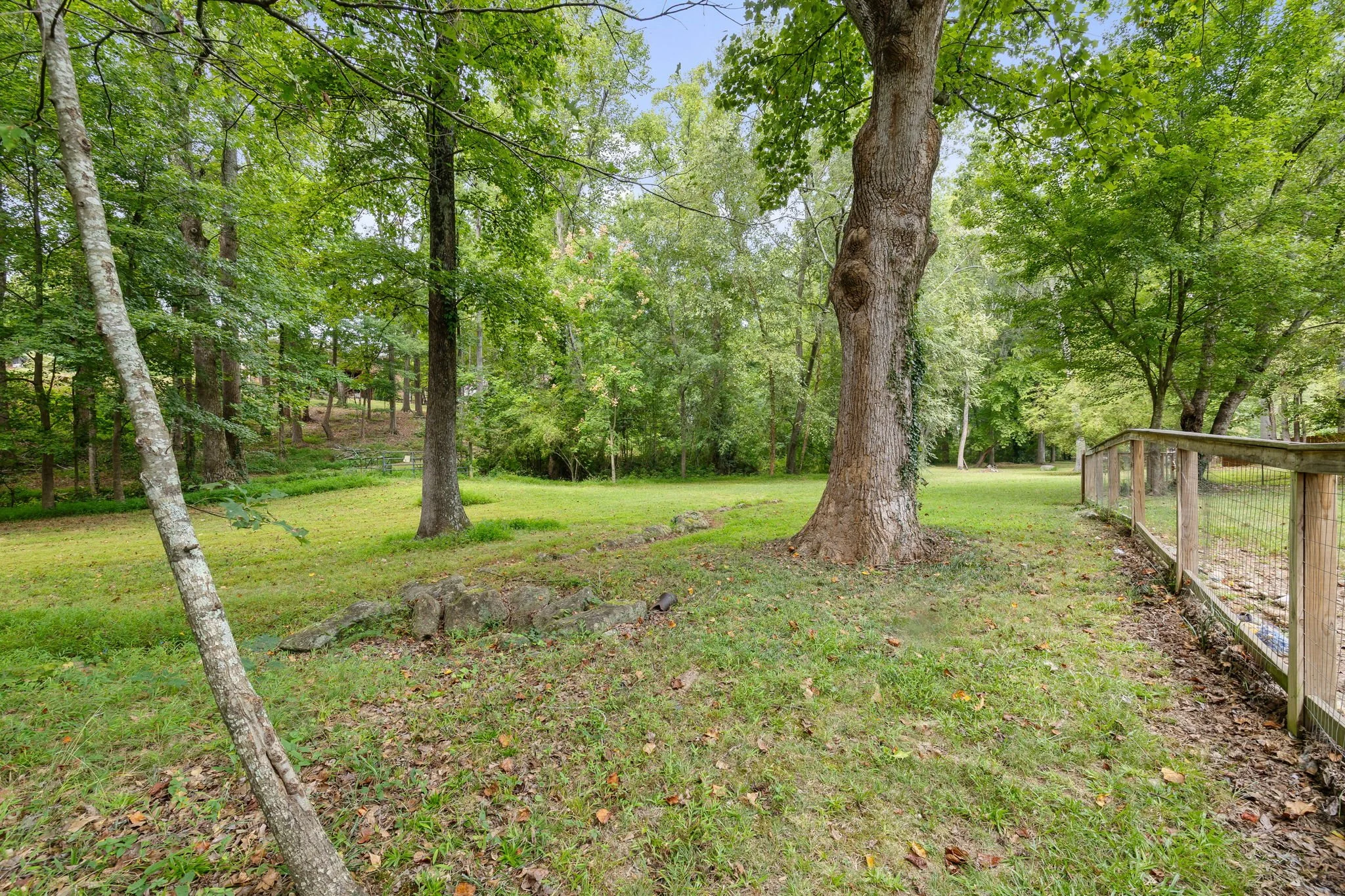 40-web-or-mls-20 Driftwood-38.jpg