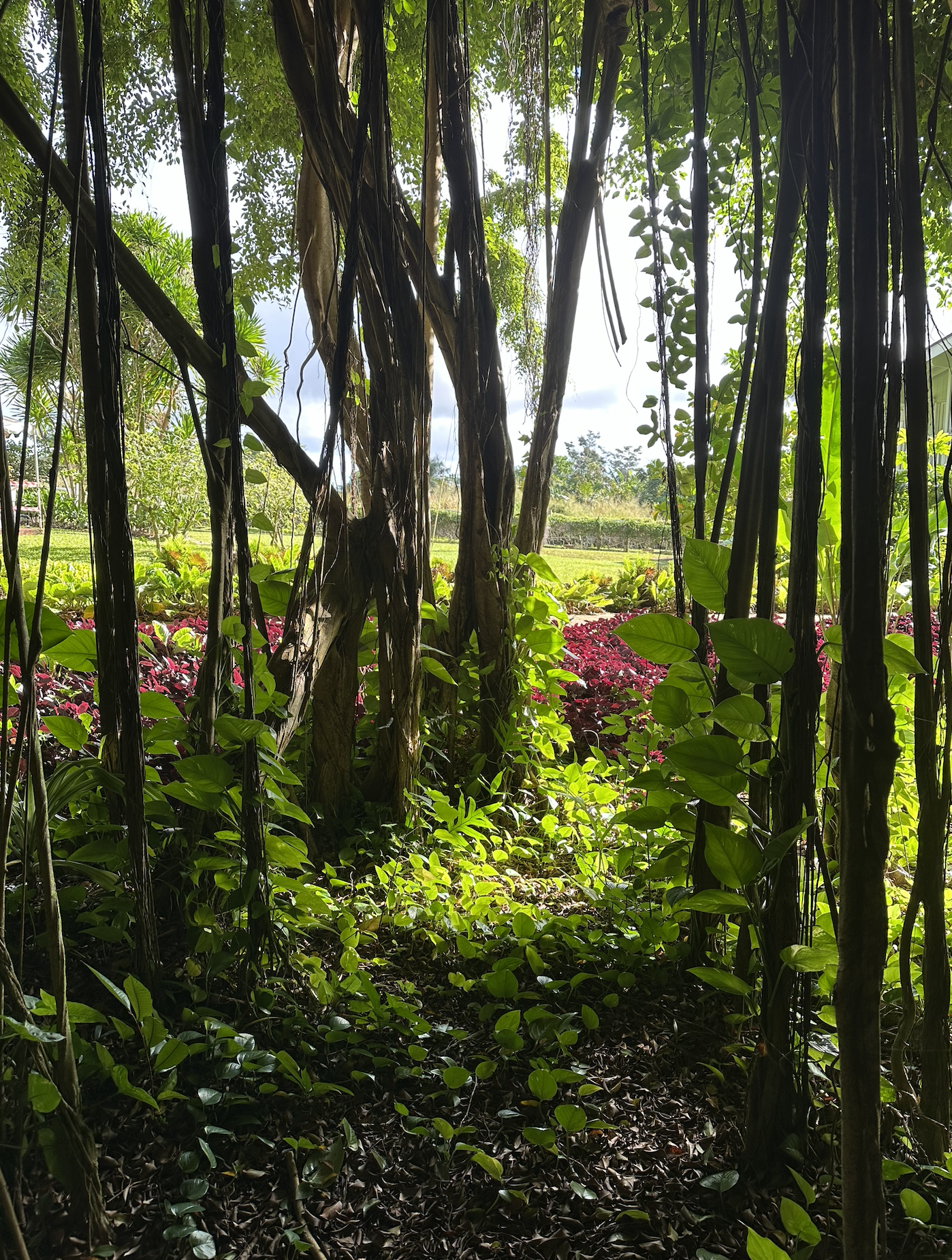 Kauai Retreat