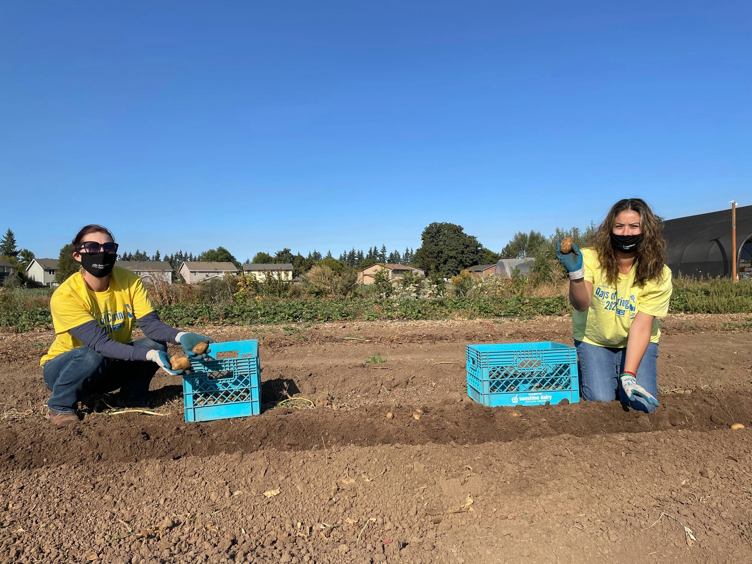 At-the-Youth-Farm-harvesting-1.jpg