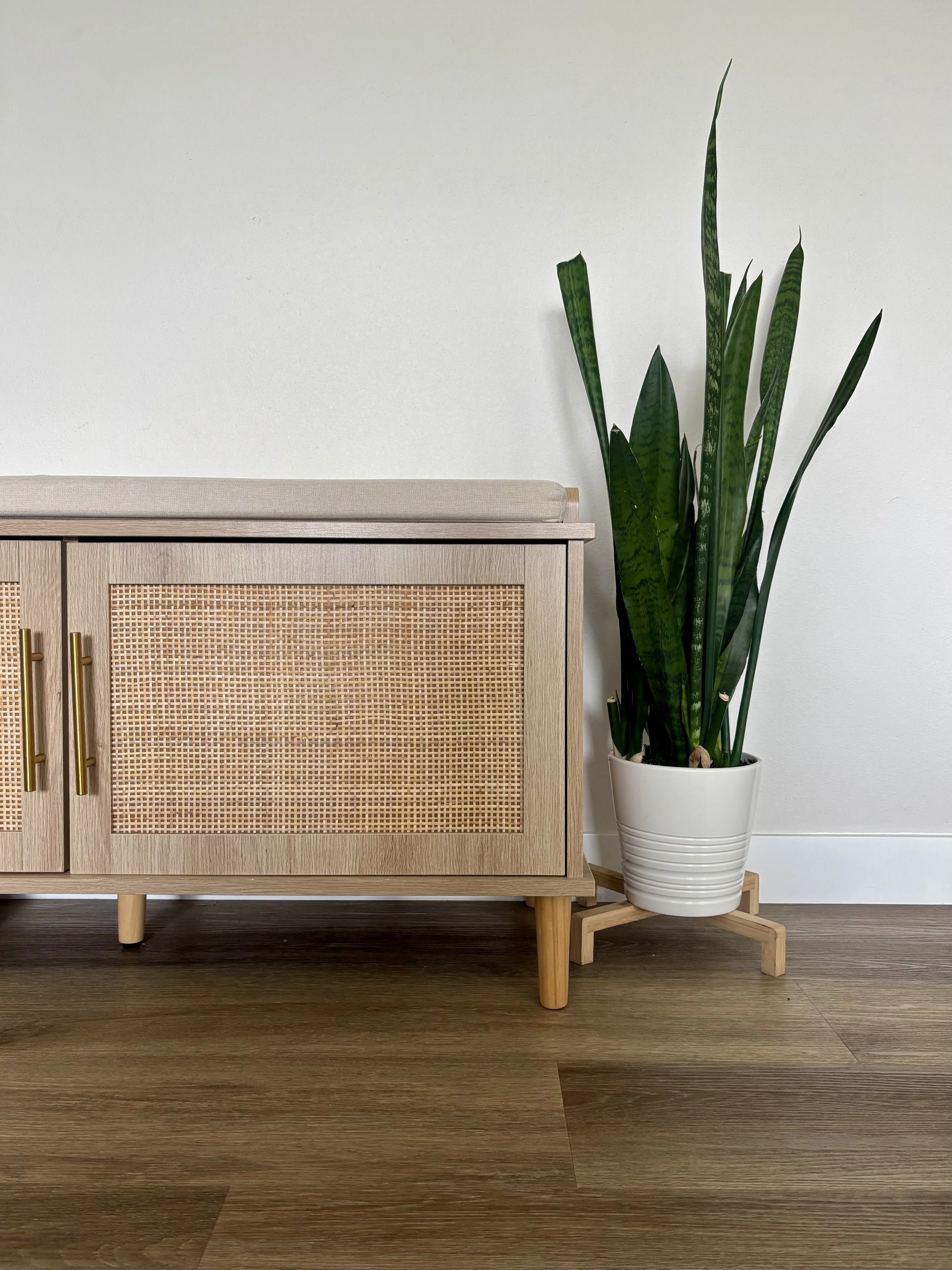 A wooden cabinet with a rattan front panel and gold handles, placed on four legs, next to a tall potted snake plant with long green leaves, all set against a plain white wall and wooden floor.