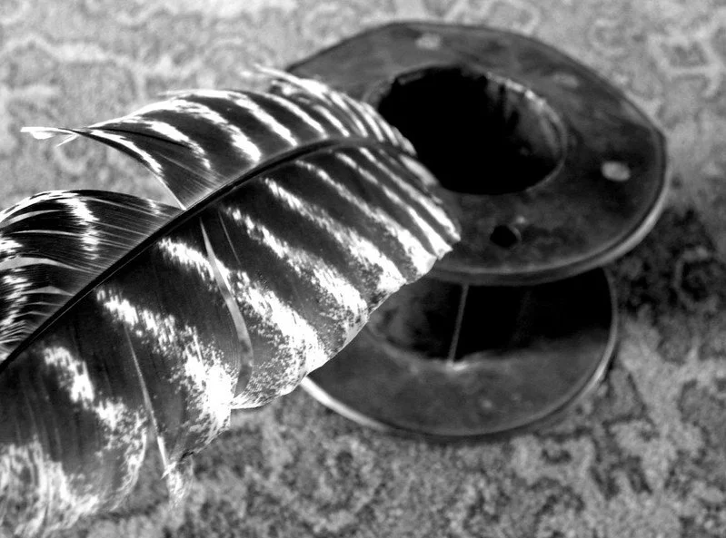 A large bird feather resting on a spool of thread or wire, with a rough surface background.