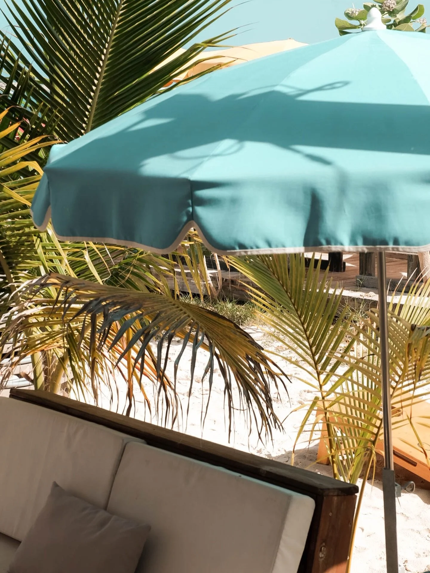 Yesterday was a vibe&hellip; today we slow it down 🩵🌴