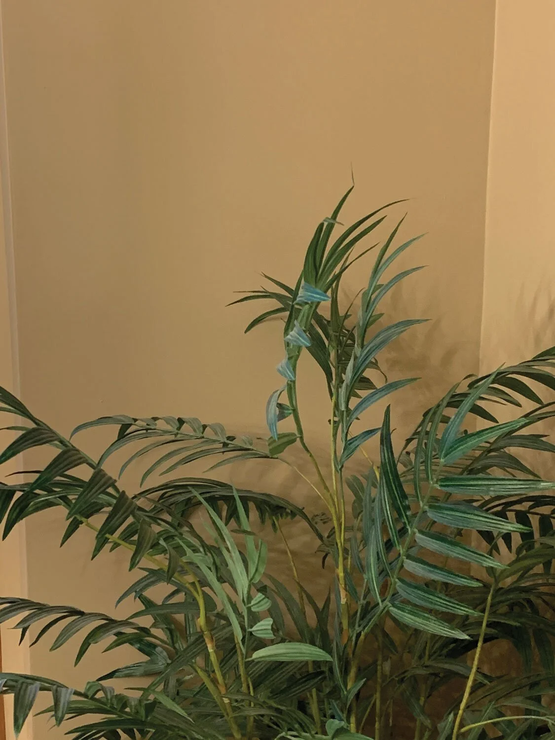 Smooth plastered walls in kitchen and bathrooms