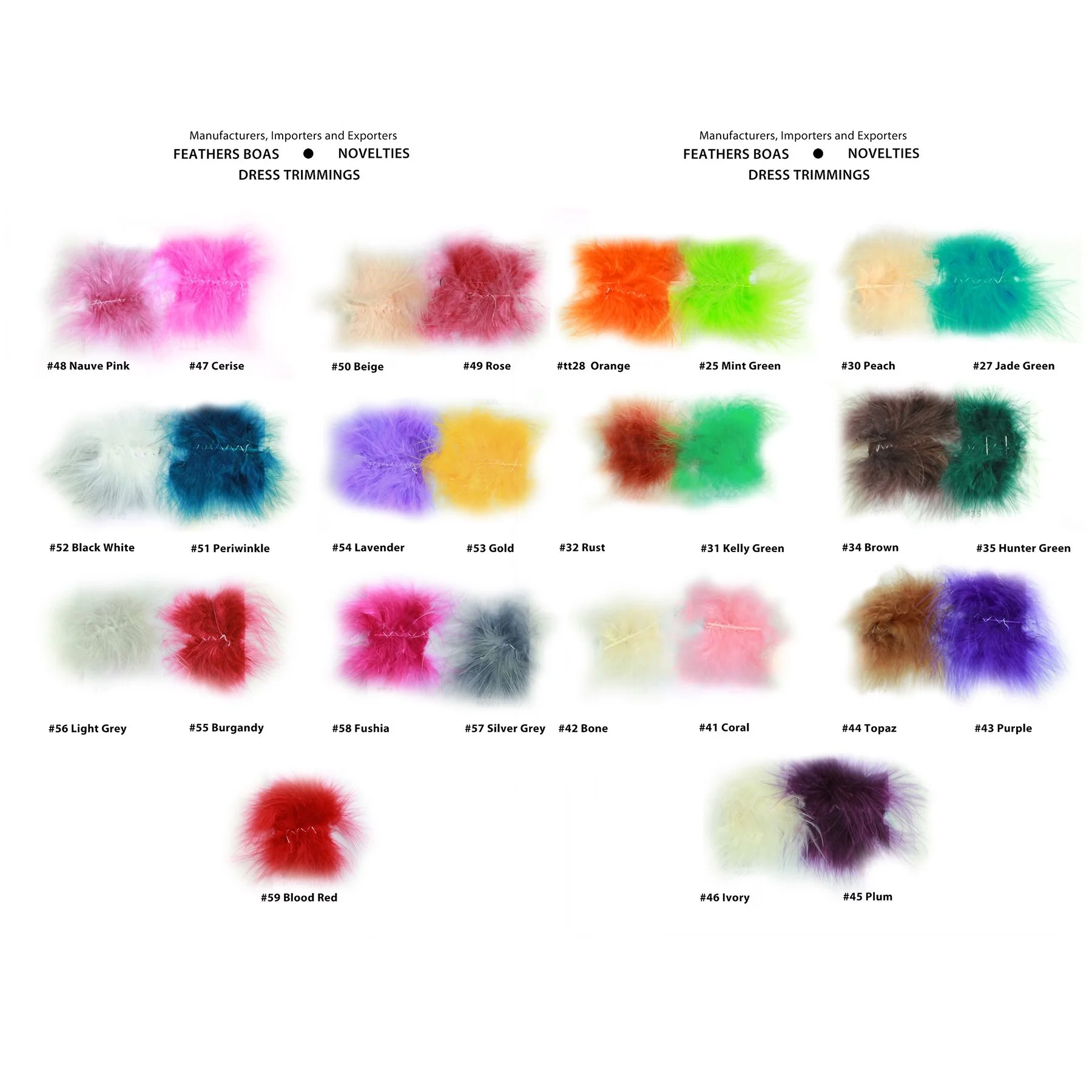 Feather Colors 1.jpg