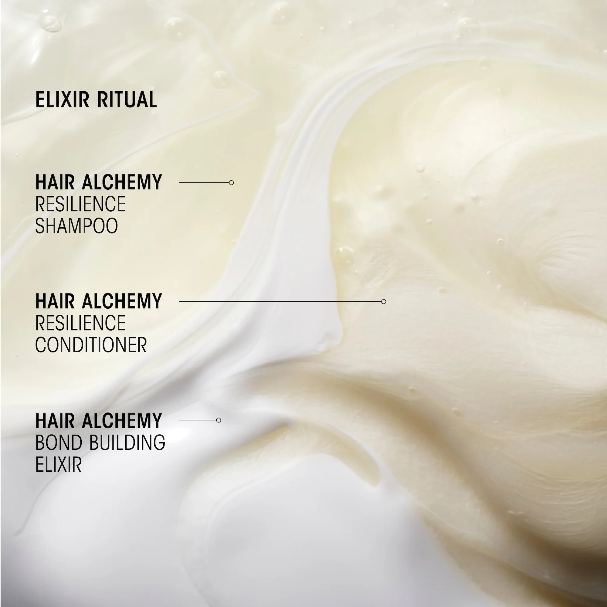 401854-1-infographic-en.webp
