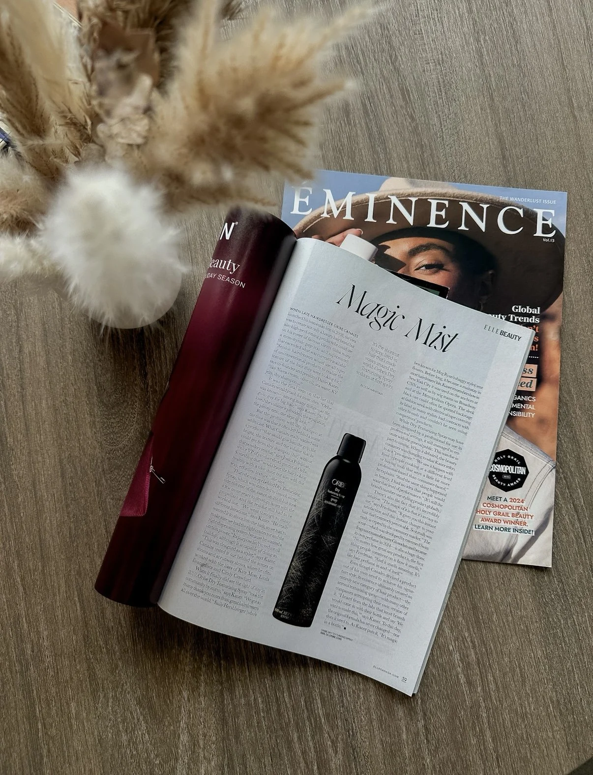 Open magazine on a wooden surface with an article titled 'Magic Mist' and a black bottle image; behind it, another magazine titled 'Eminence' and a partially visible fluffy orange and white cat paw.