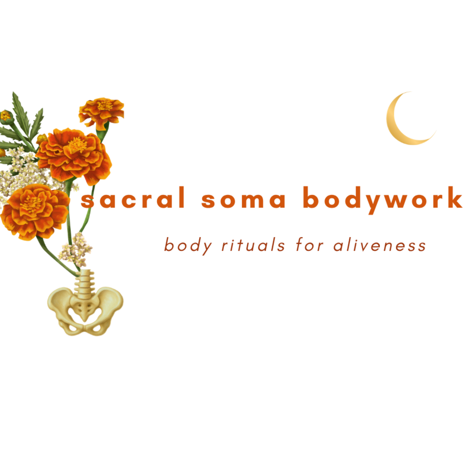 sacral soma