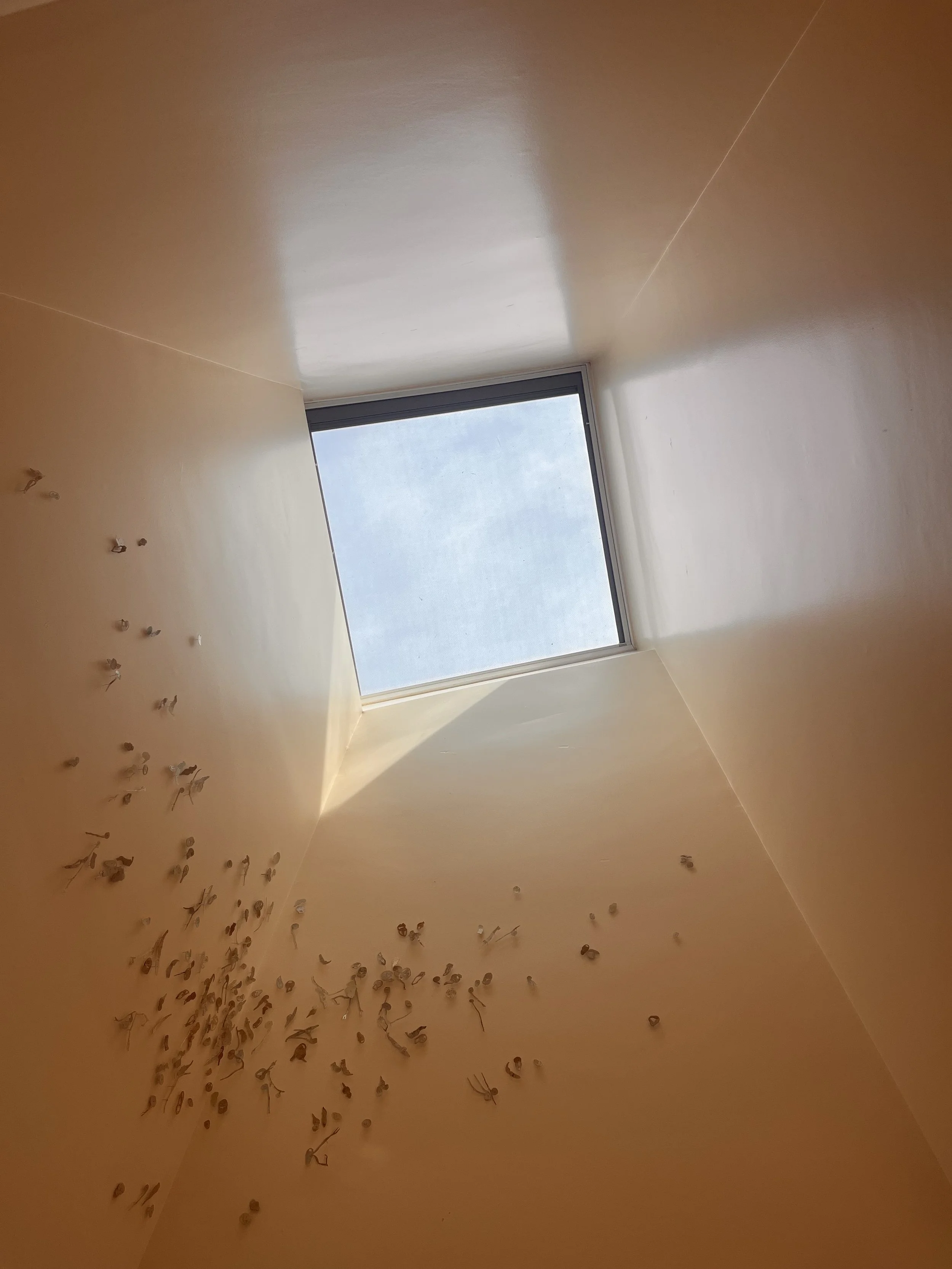 Focused Body Care (40 min)