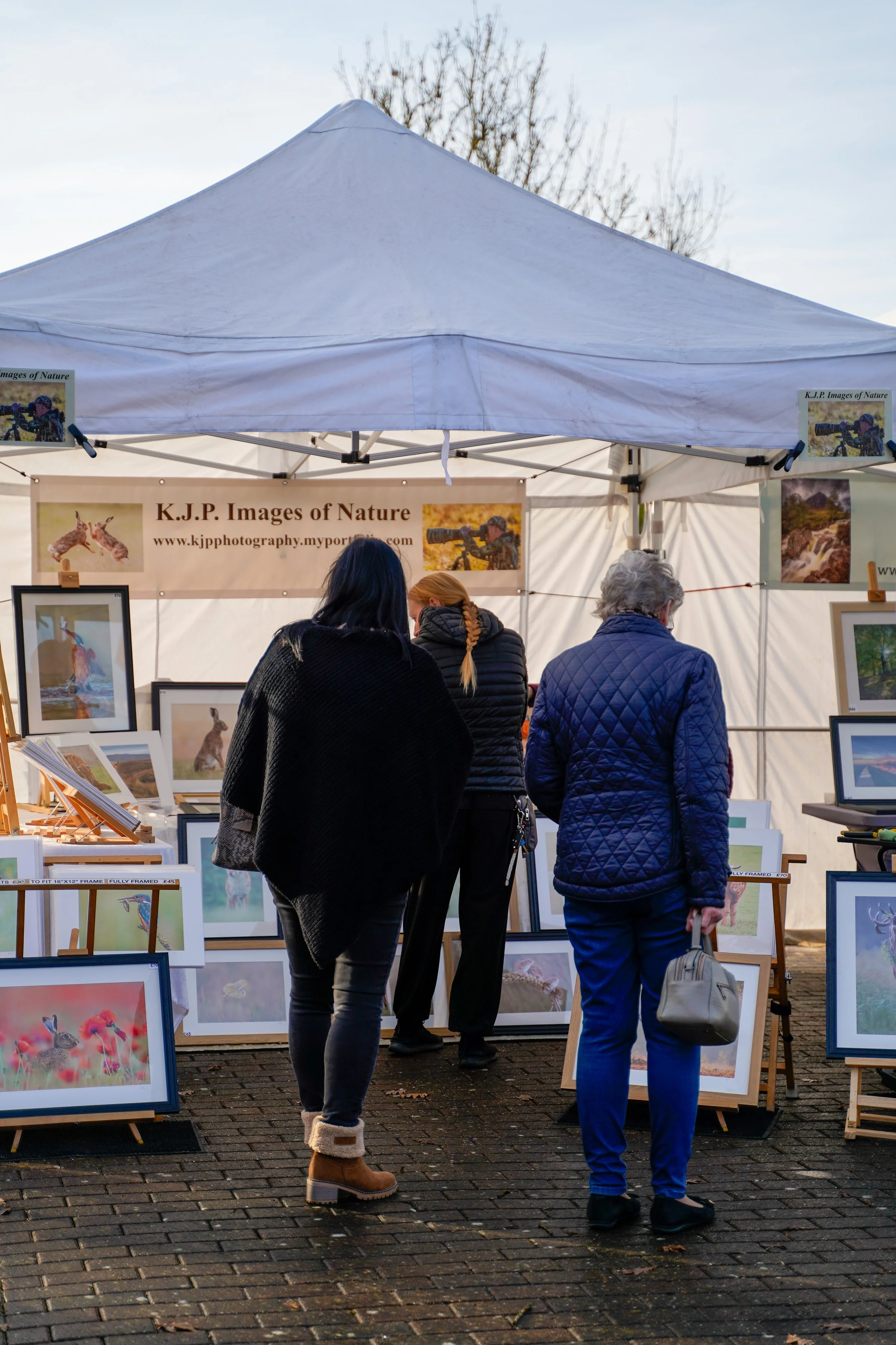 People browsing bird and animal photographs at an outdoor art fair or exhibit, with framed photos on displays and a tent overhead.