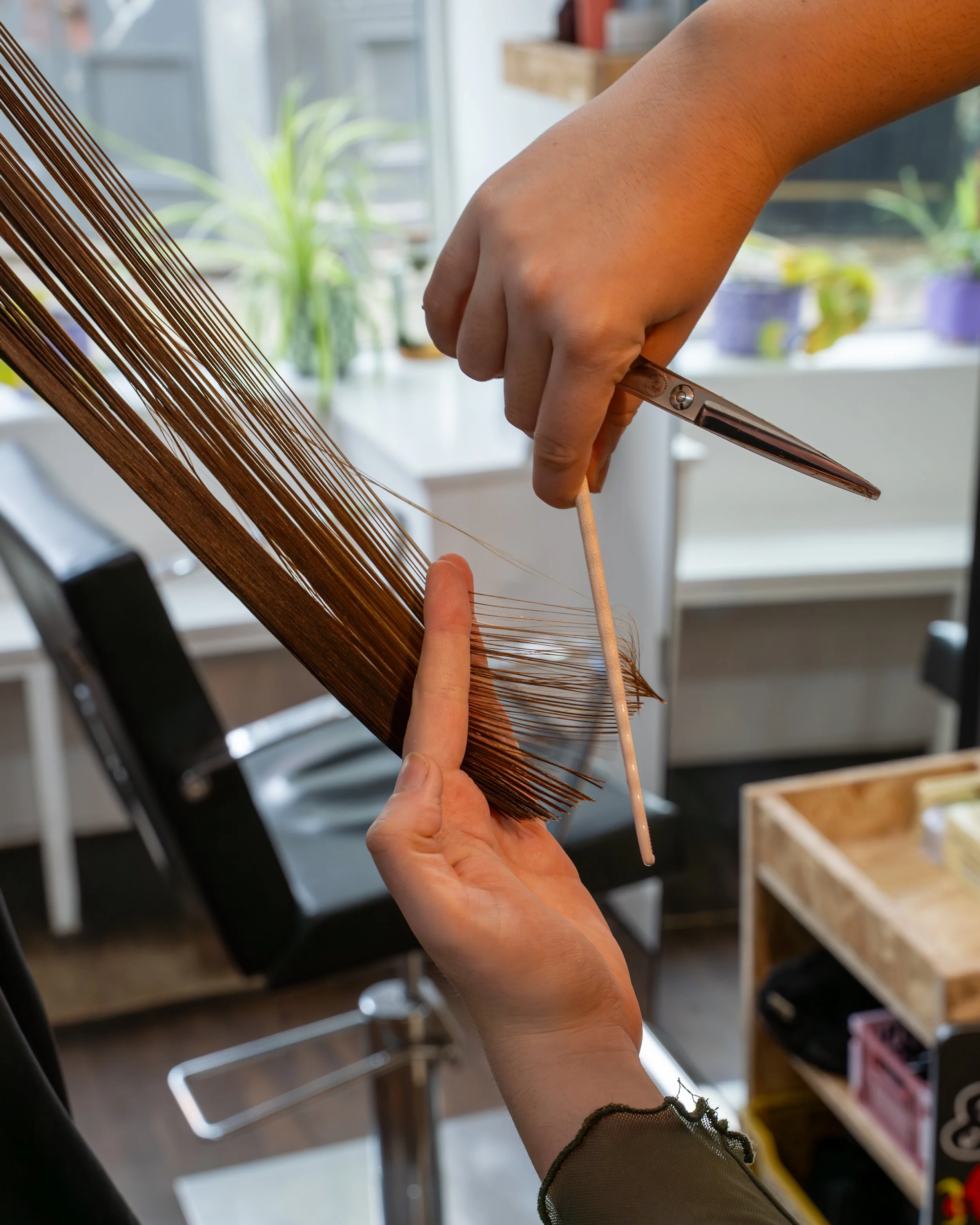 A person's hand holding a pair of scissors and using it to cut a brown straw-like material, with a background of plants and shelves.