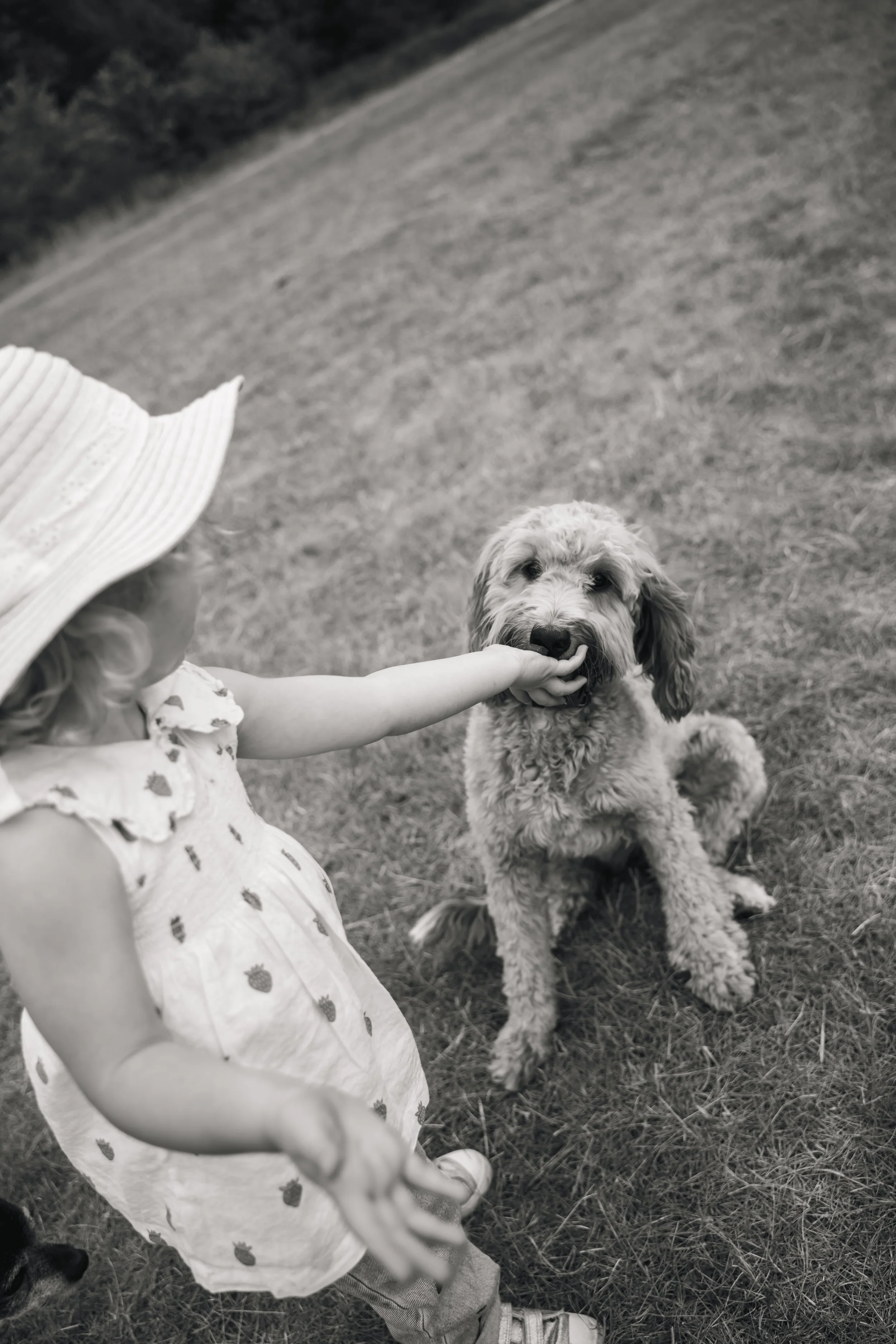 Ryan Martin Family Shoot-111.jpg
