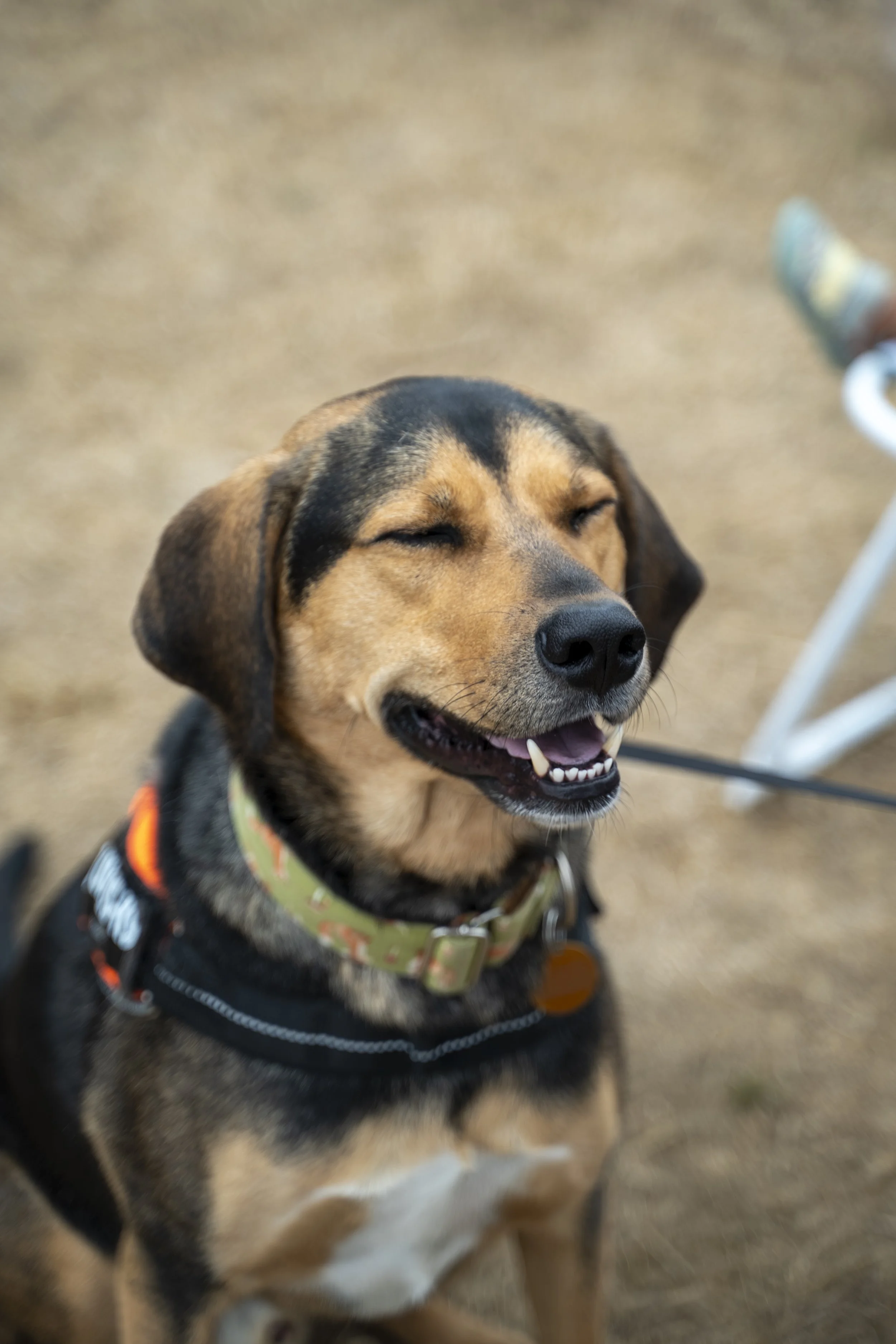 Ryan Martin Family Shoot-80.jpg