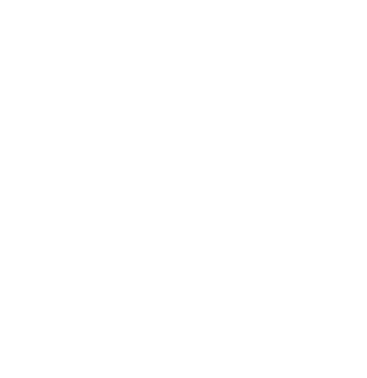 Fitness watch icon