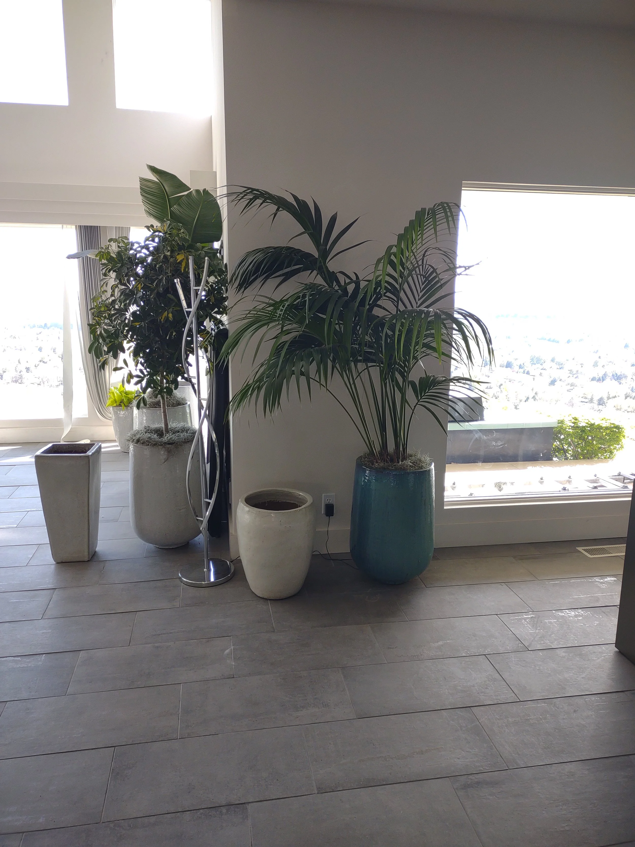 Quail Ridge project prior to indoor plant installation and styling.