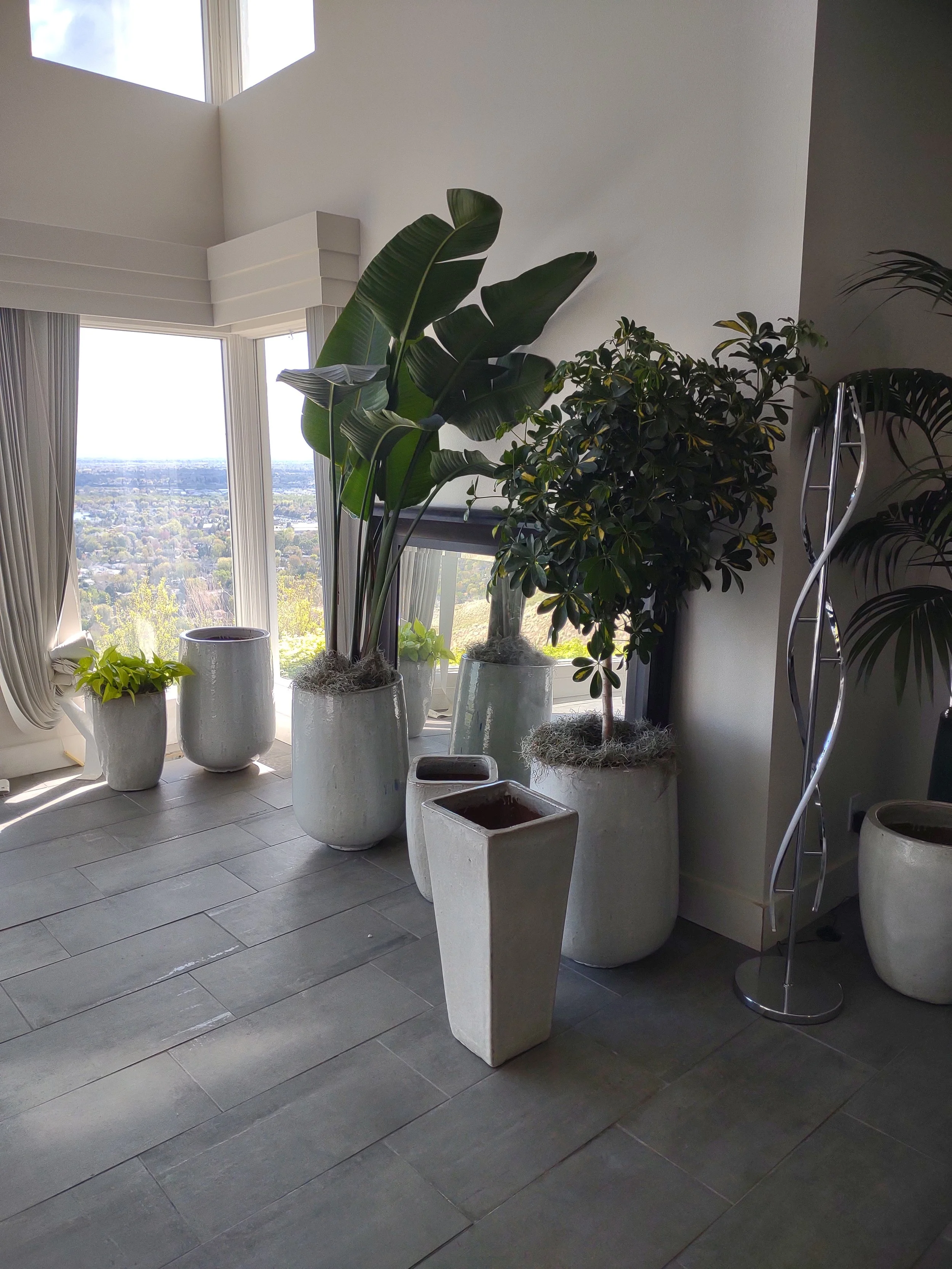 Quail Ridge project showing interior space before plant styling.