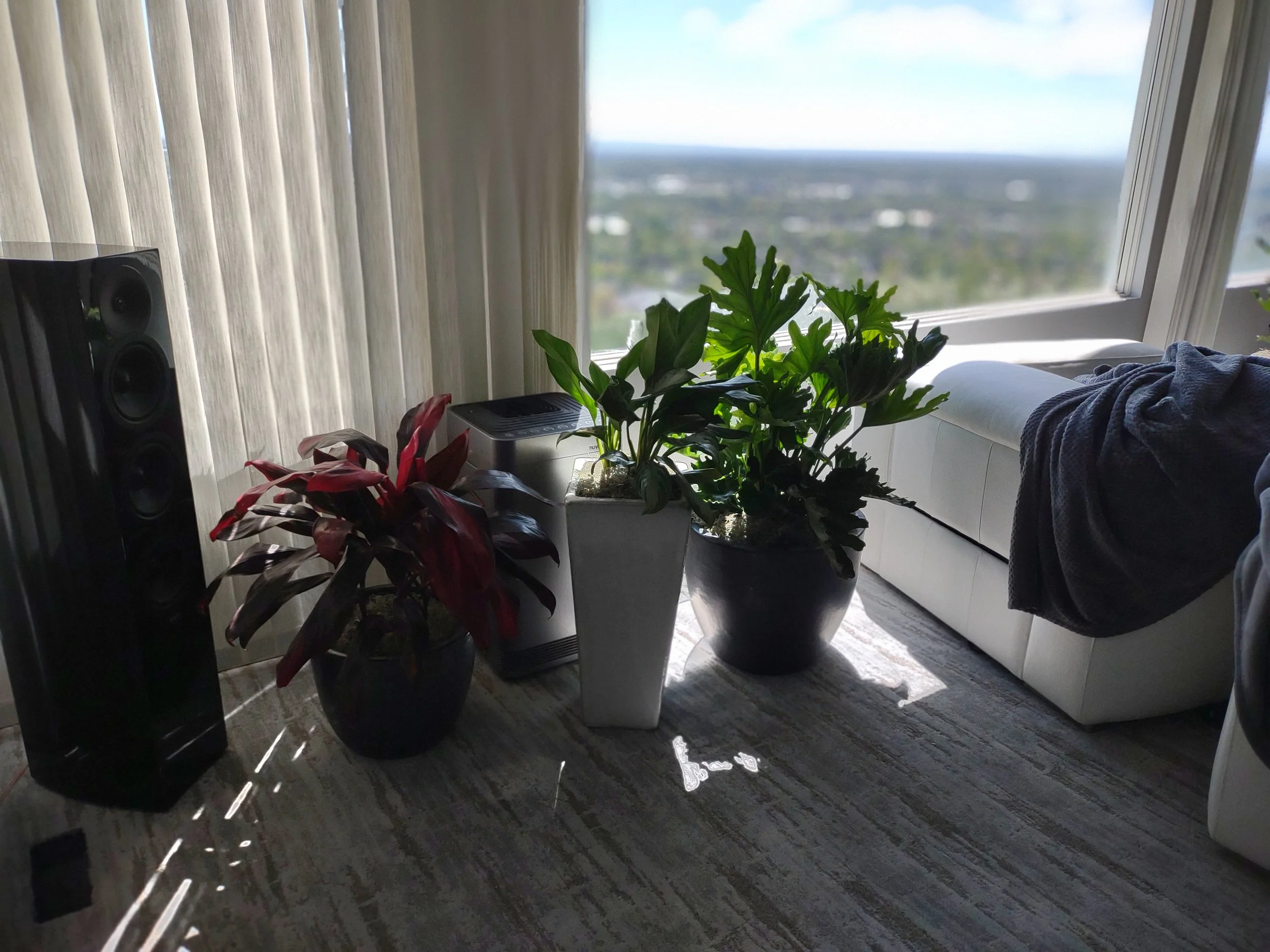 Quail Ridge residential project after plant installation and styling.