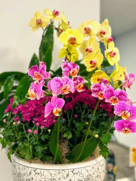 Large arrangement with orchids, bromeliads, and tropical foliage, styled for a professional environment and maintained in the Treasure Valley.