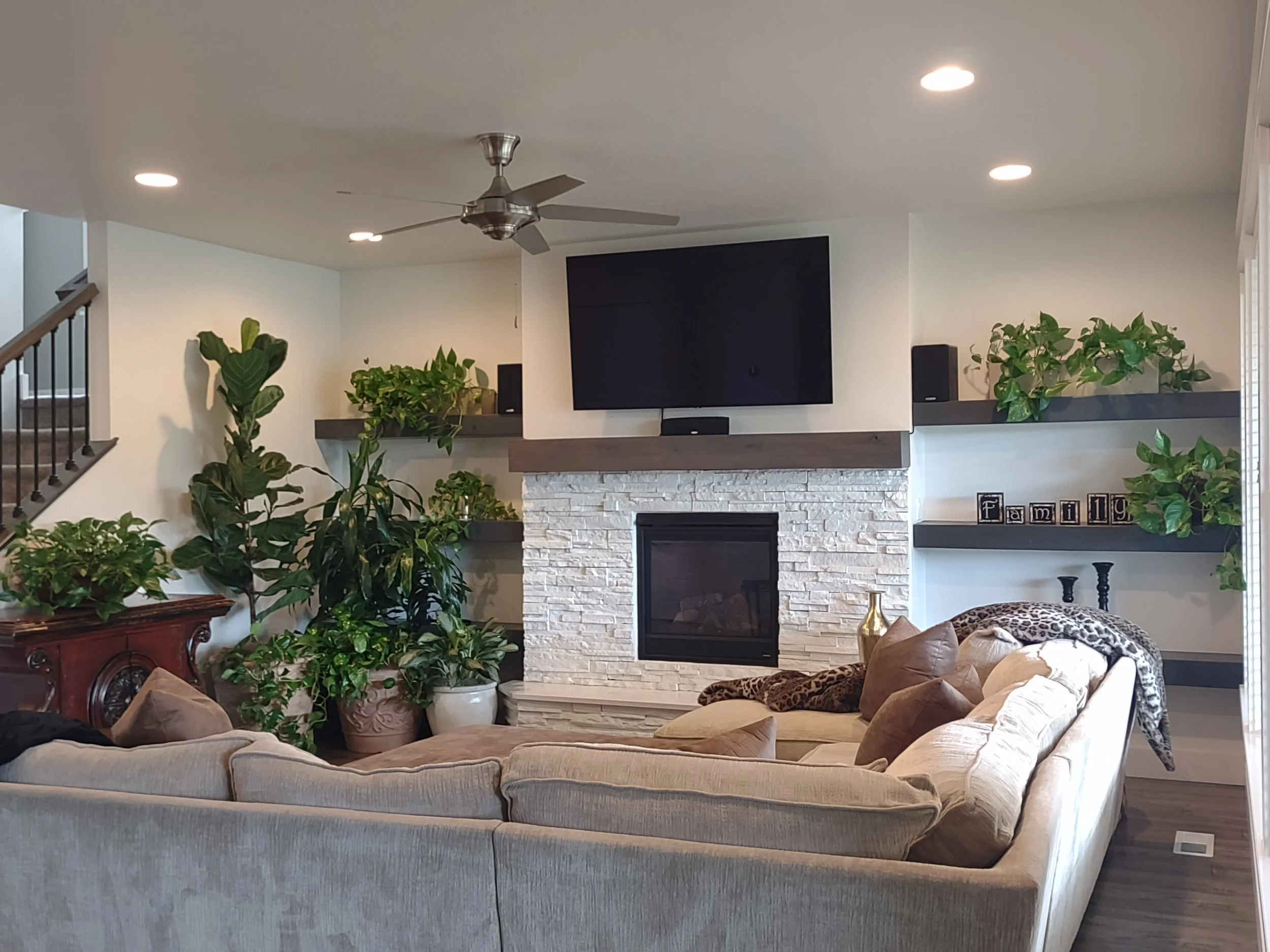 Large corner plantings with bookshelf styling, creating statement greenery on each side of a television in a private residence, boise, idaho.