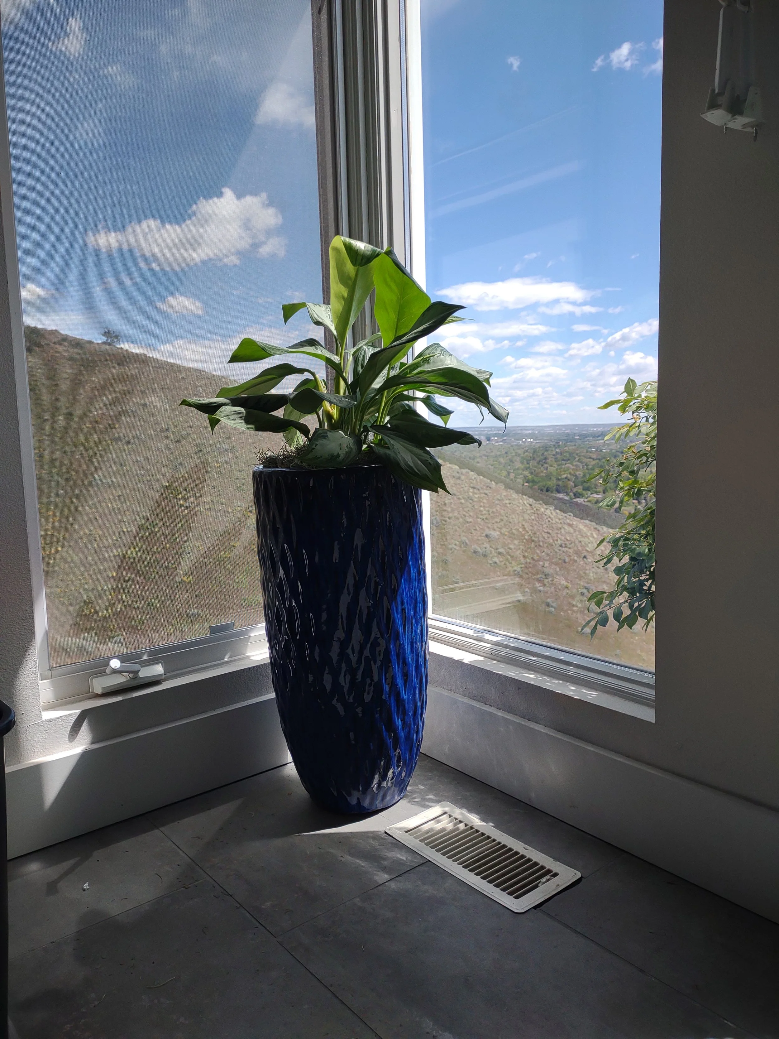 Completed green reinstallation in the Quail Ridge Boise Home.