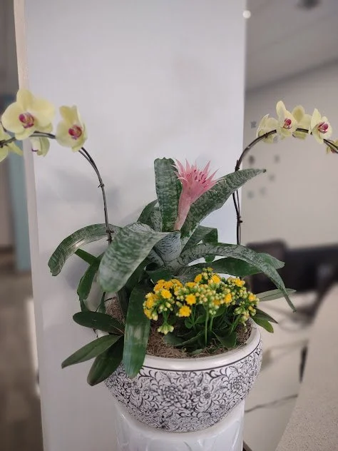 Large arrangement with orchids bromeliads and tropical foliage custom designed for a commercial space and maintained by The Plant People.