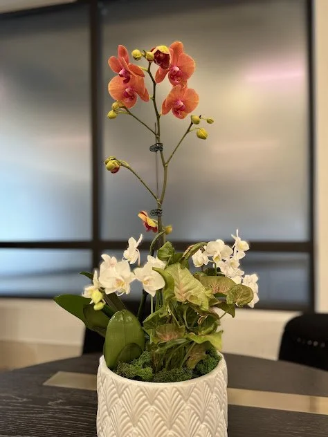 A white and pink small orchid arrangement for a elegant lobby space and a local hotel in Boise, Idaho, beautifully maintained by a local plant care company.