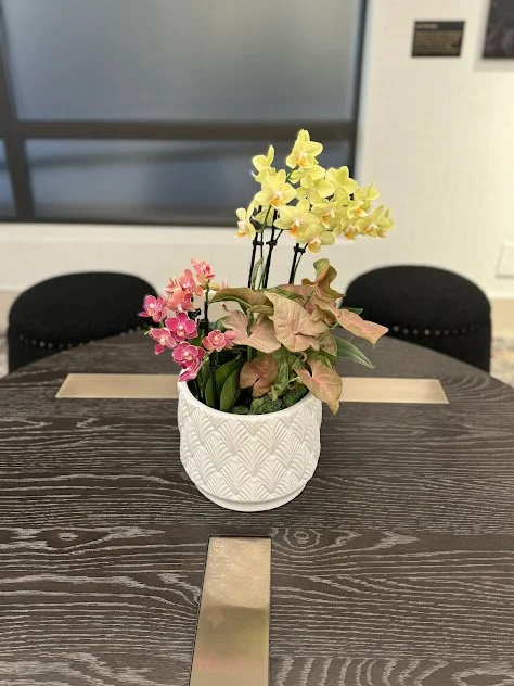 A yellow and pink orchid arrangement. In a Boise hotel environment maintained through interior plant care.