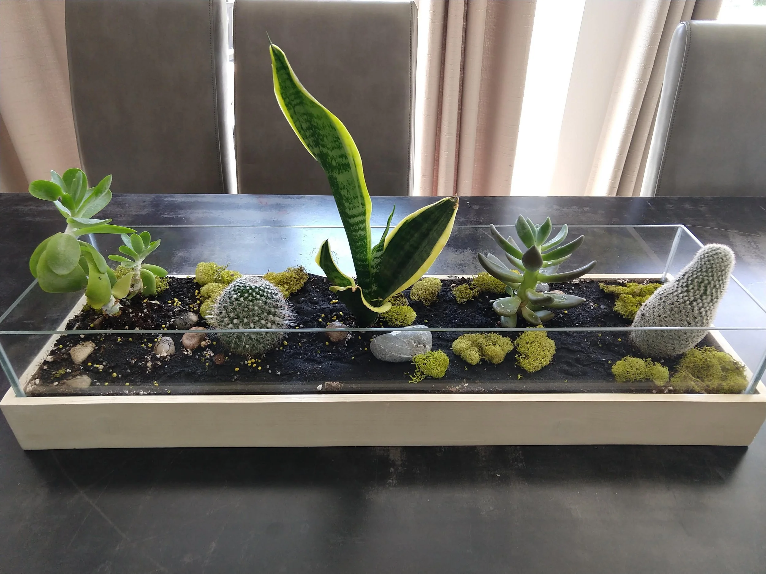 Succulent through centerpiece adding texture and organic detail to a residential dining table in Boise, Idaho.