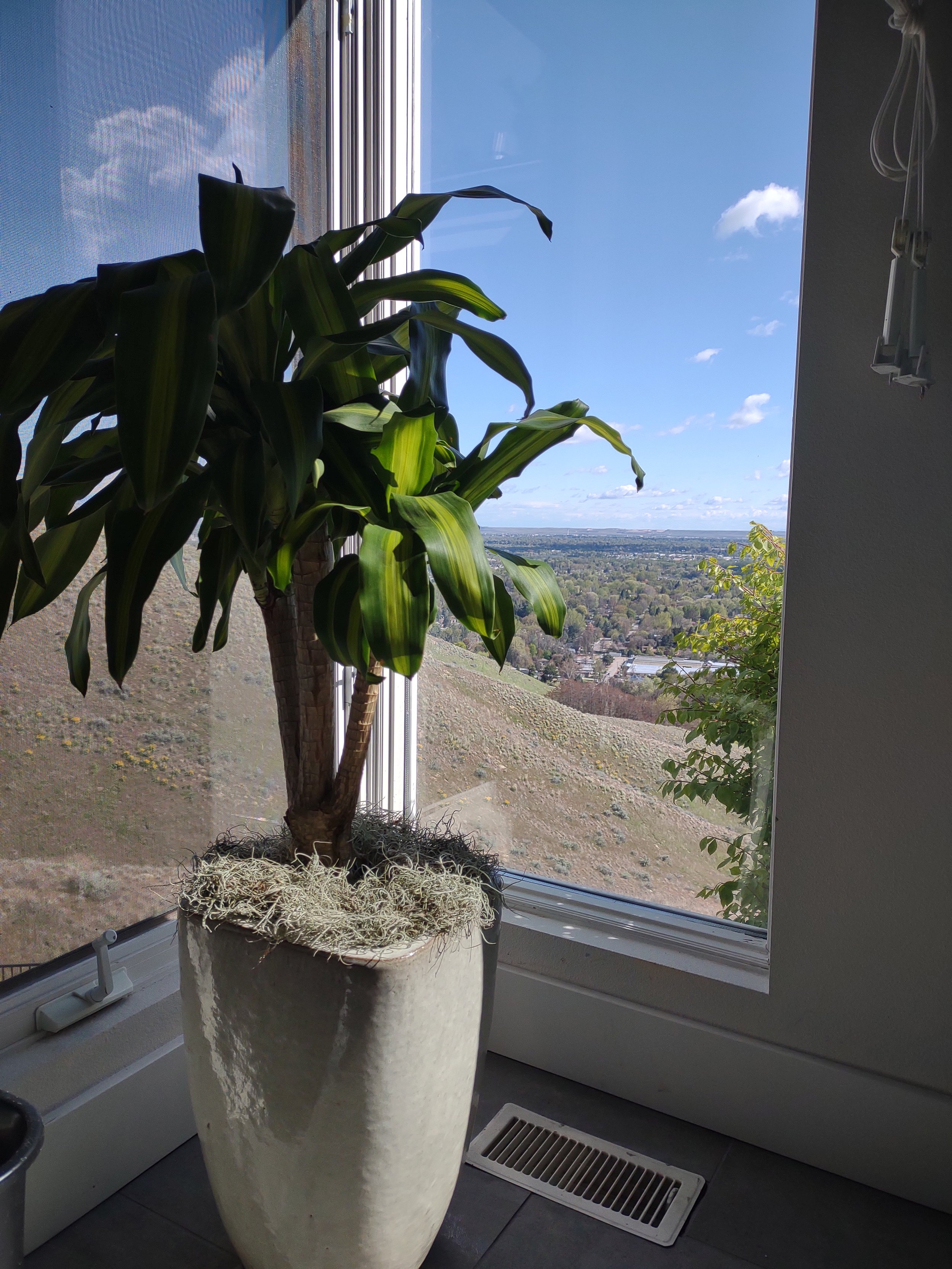 Quail Ridge project after plant installation and design completion.