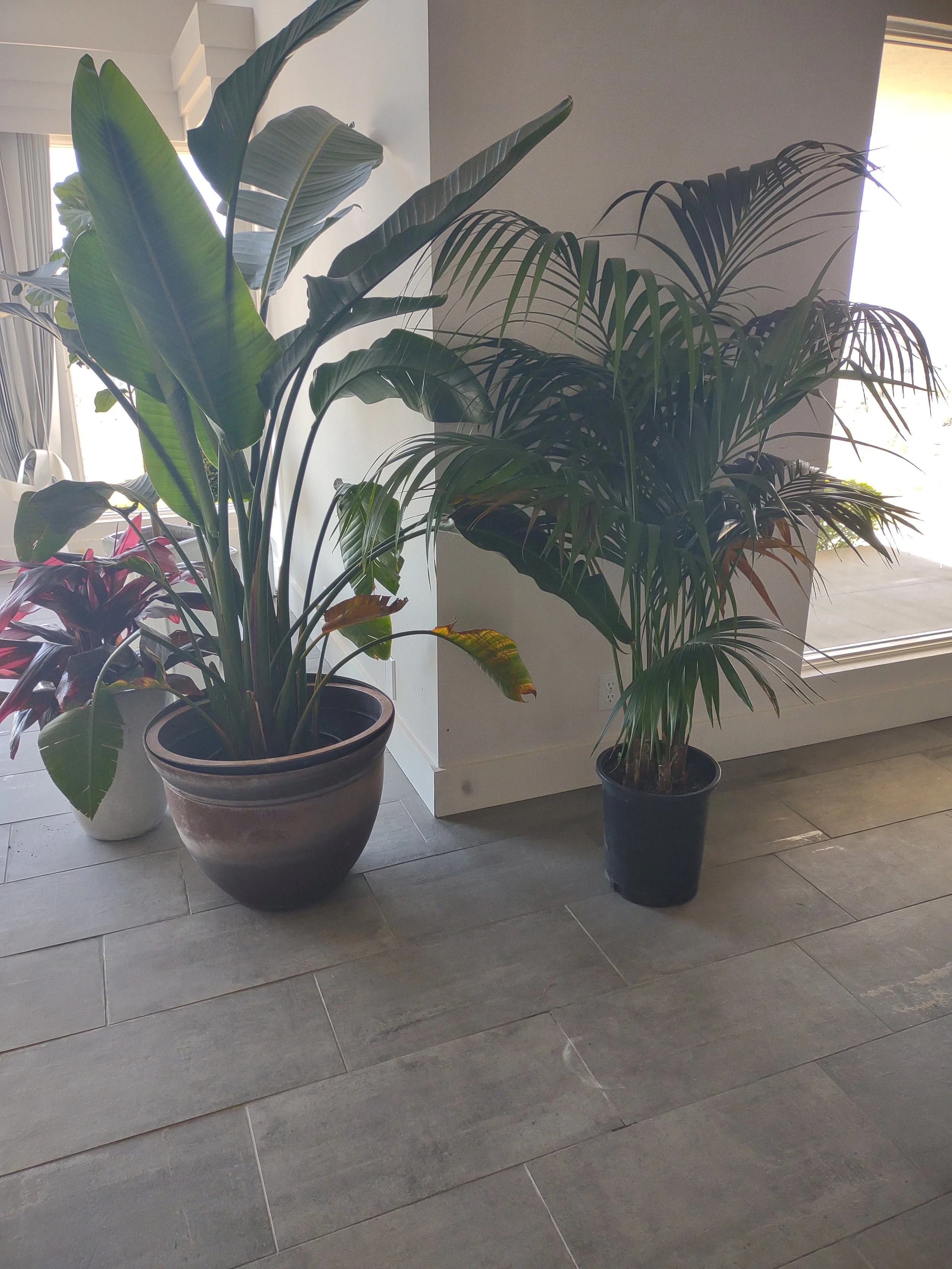 Interior space before plant design in the Quill Ridge Boise home.