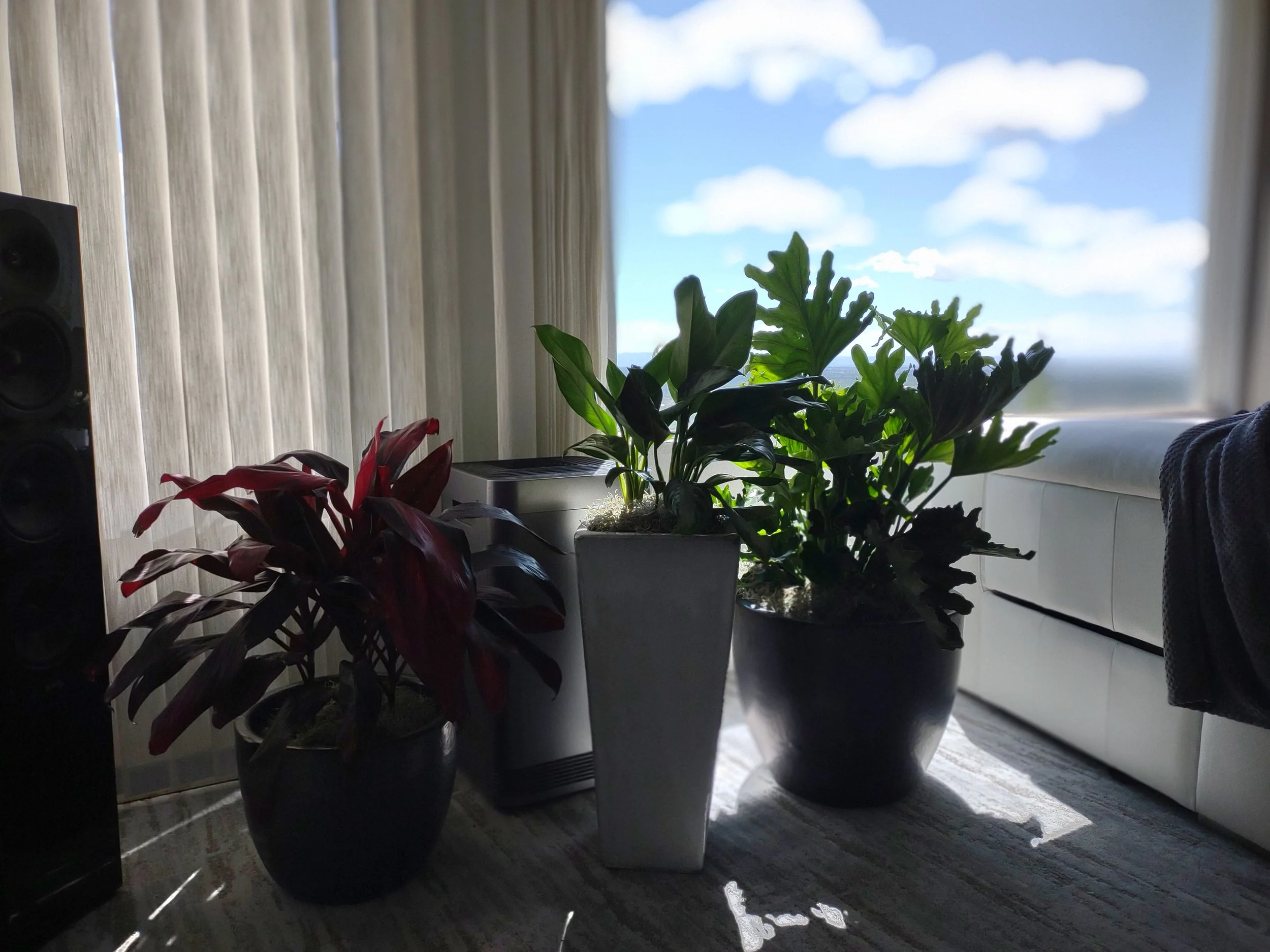 Quail Ridge project after residential plant installation and styling.