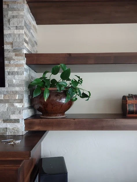 Statement plant on a custom bookcase in a Boise residential interior.