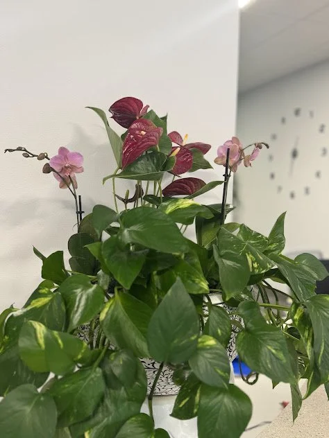 Large arrangement featuring orchids and tropical foliage, installed and professionally maintained by The Plant People in Boise, Idaho.
