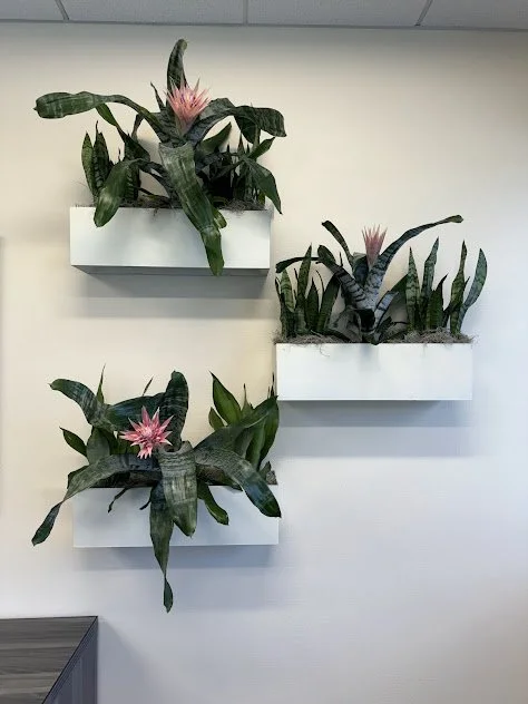Bromeliad accent arrangement, style to introduce visual interest and dimension in an interior environment and professionally maintained in Boise, Idaho.