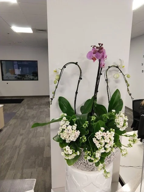 Large arrangement featuring orchids and tropical foliage, designed for interior environments and professionally maintained in the Treasure Valley.
