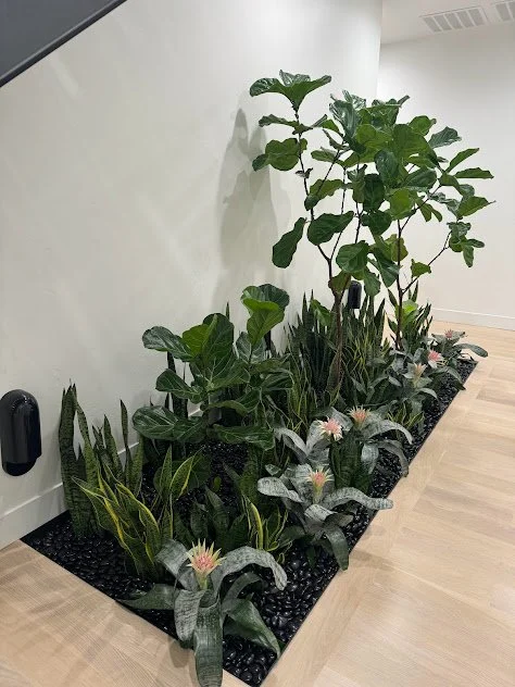 Interior atrium installation within a private residence, featuring bromeliads and tropical foliage, thoughtfully designed to enhance the indoor space and professionally maintained by the plant people in Boise, idaho.