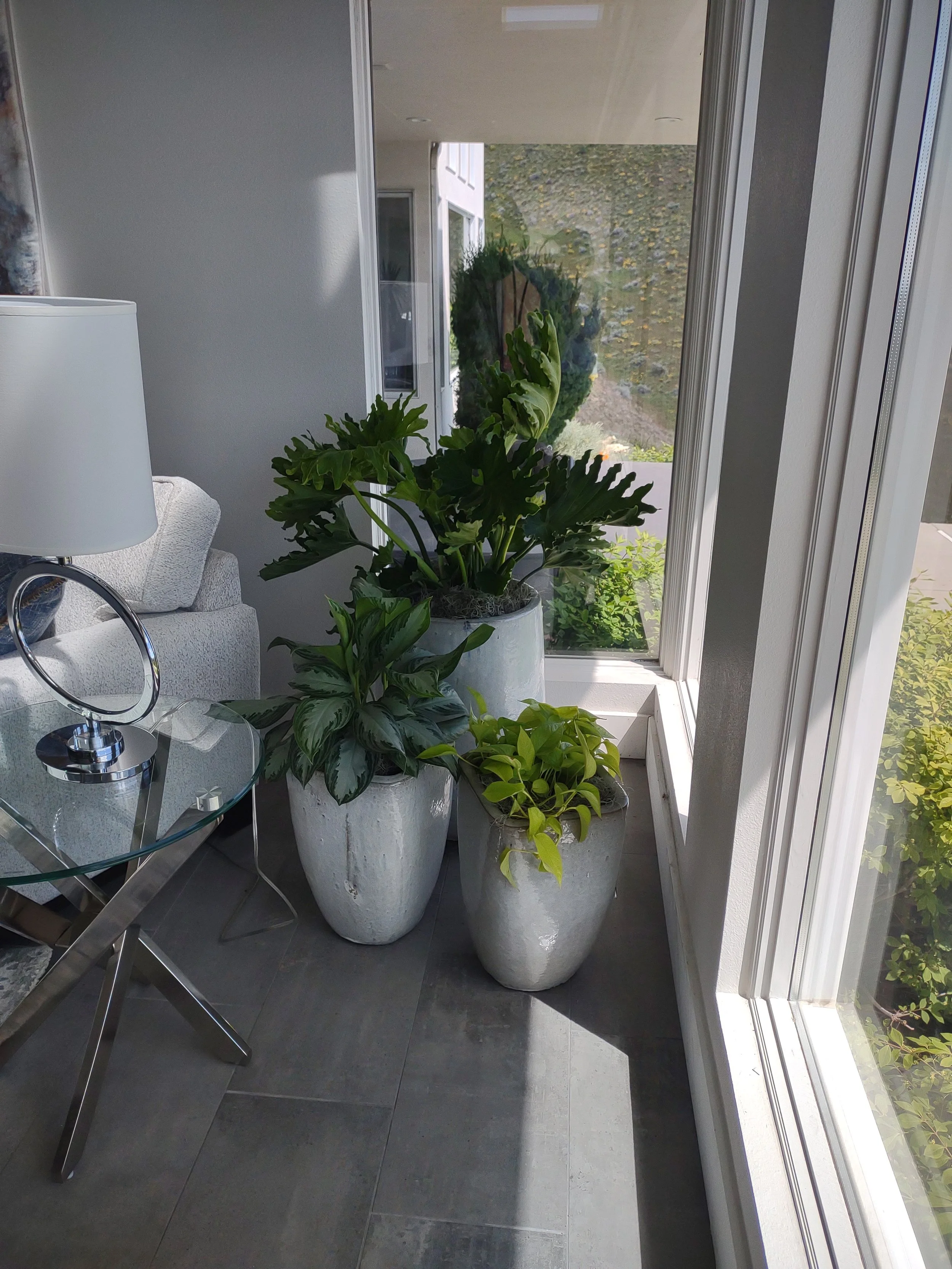 Quail Ridge project after completion of interior plant styling.