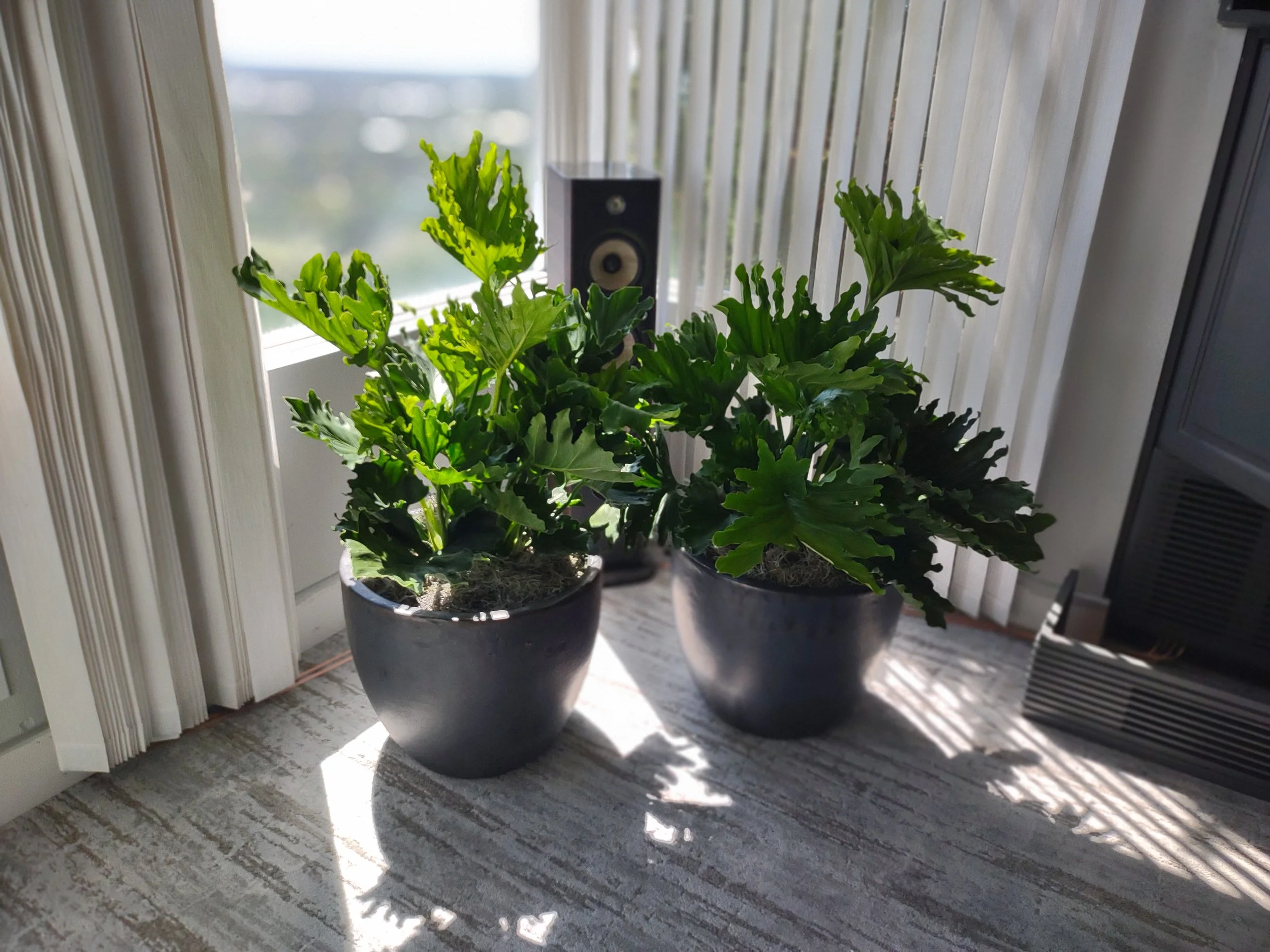 Quail Ridge project after installation in Boise residential home.