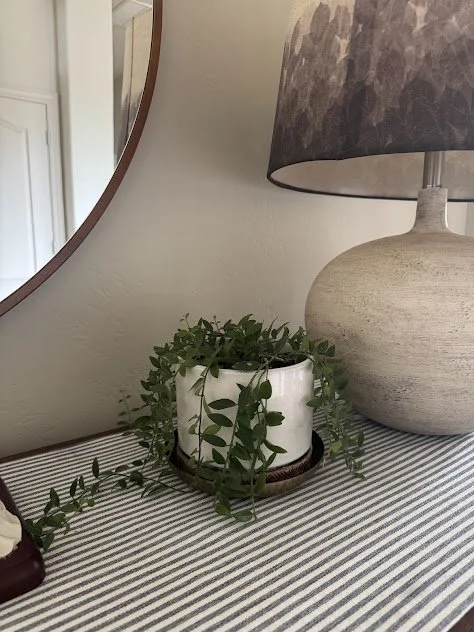 Mixed indoor plantings creating warmth and texture in a Boise home after.