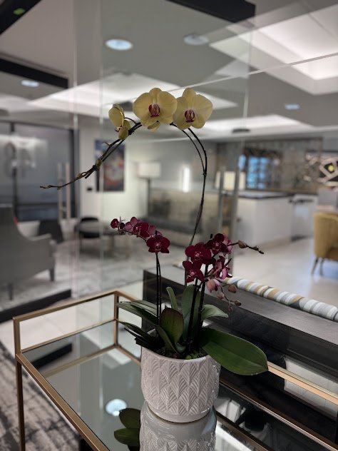 A medium orchid arrangement with purple and yellow blooms and Boise interior space designed and maintained for long term plant health.