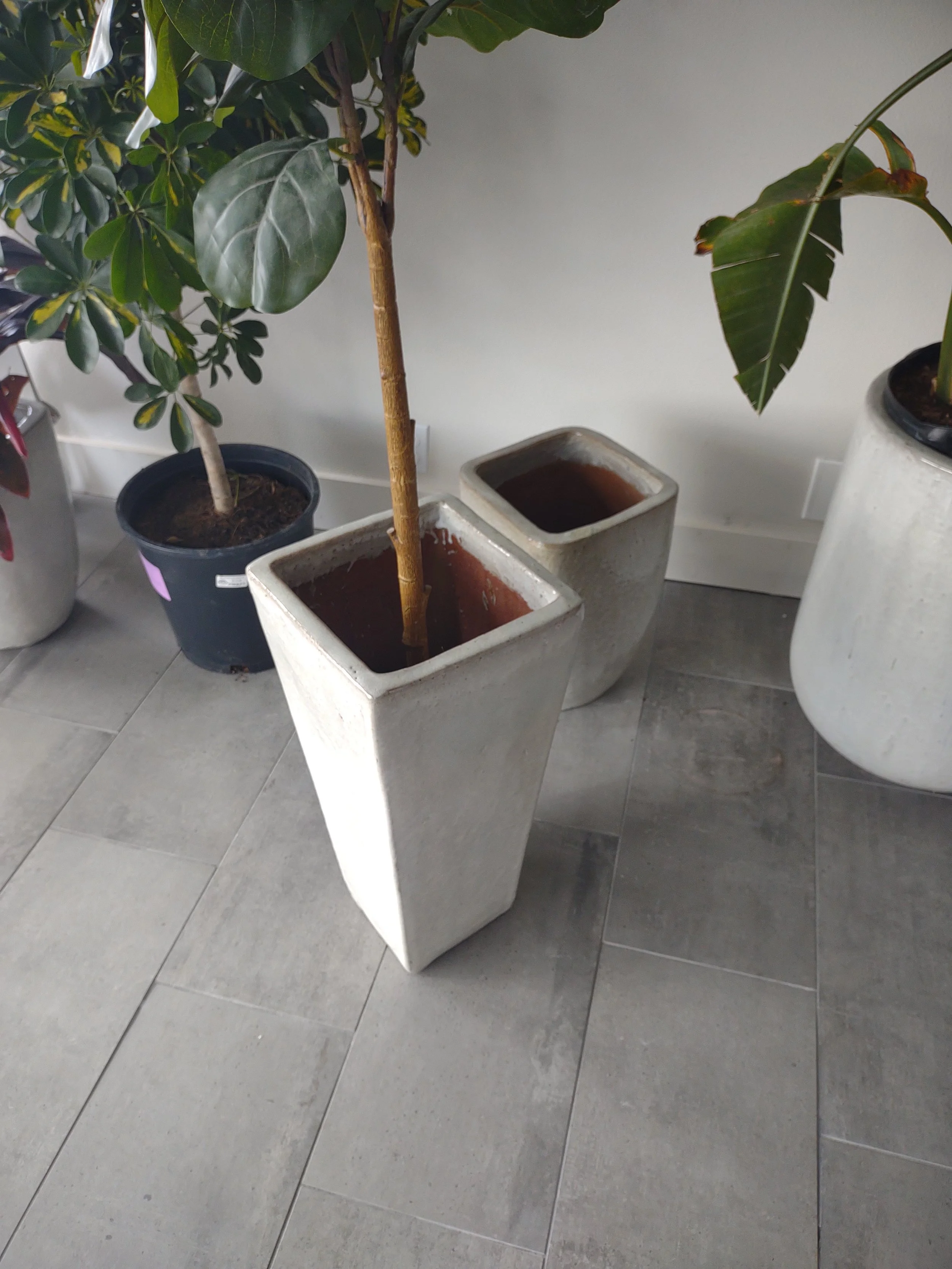 Unstyled residential interior prior to plant installation, quail Ridge project.